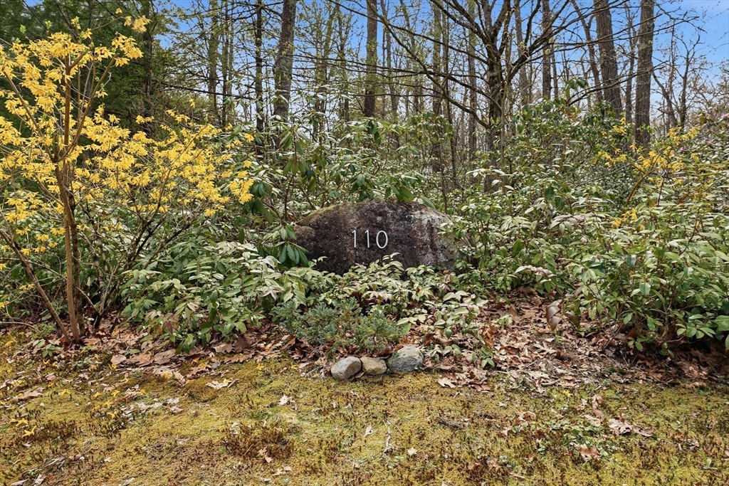 110 Turkey Hill Road Northampton, MA 01062 - Photo 39 of 42 a view of a house with a tree