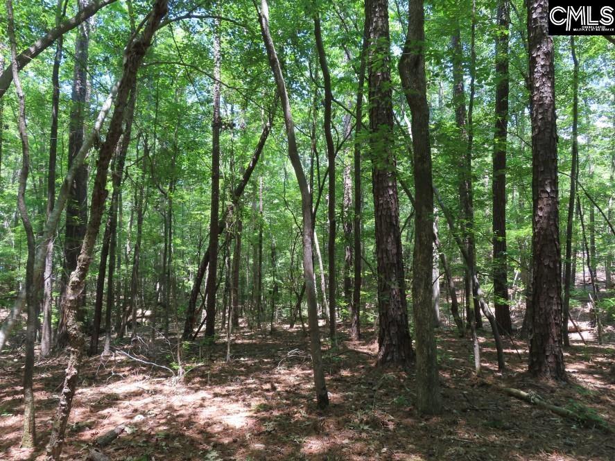 0 Park Road Ridgeway, SC 29130 - Photo 42 of 47