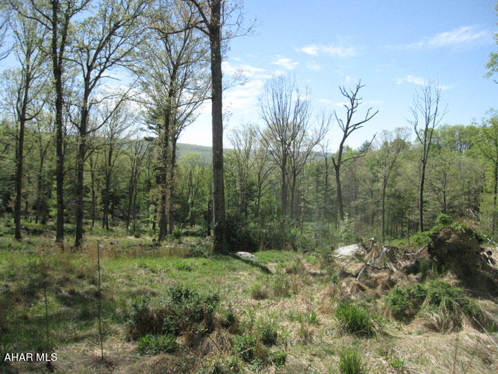 Off North Silver Pine Road Petersburg, PA 16669 - Photo 12 of 29 Gallery Image 12