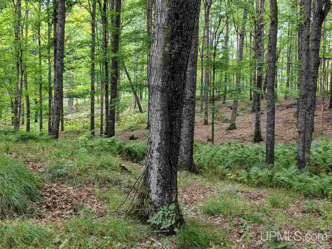 6.50-acres Fordville Road, Unit 27 STURGEON RIVER SI Foster City, MI 49807 - Photo 2 of 14