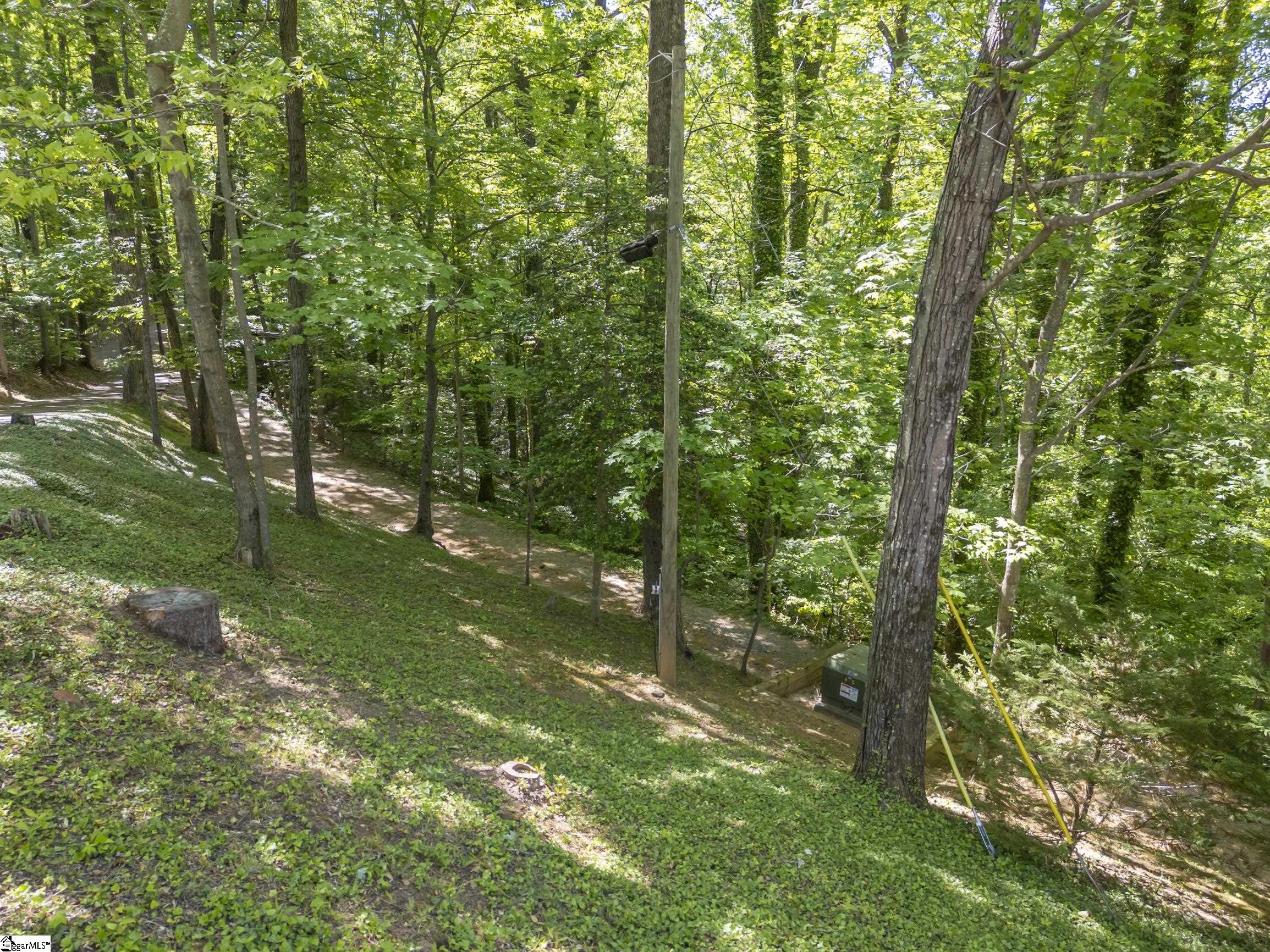 484 Sourwood Ridge Road Tryon, NC 28782 - Photo 39 of 44
