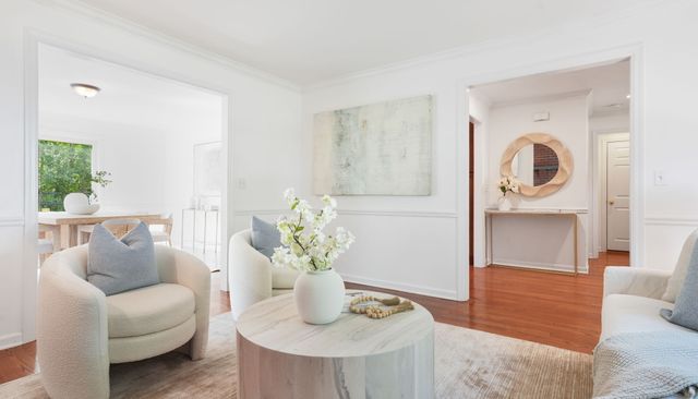 a living room with furniture flowerpot and a potted plant