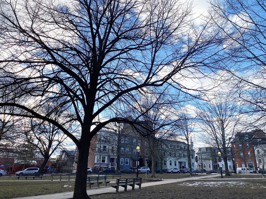 7 Sumner Place, Unit 1 Boston, MA 02128 - Photo 8 of 8 a building with trees in front of it