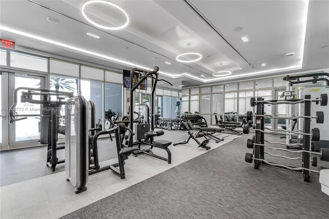 a view of a garden with plants and large trees