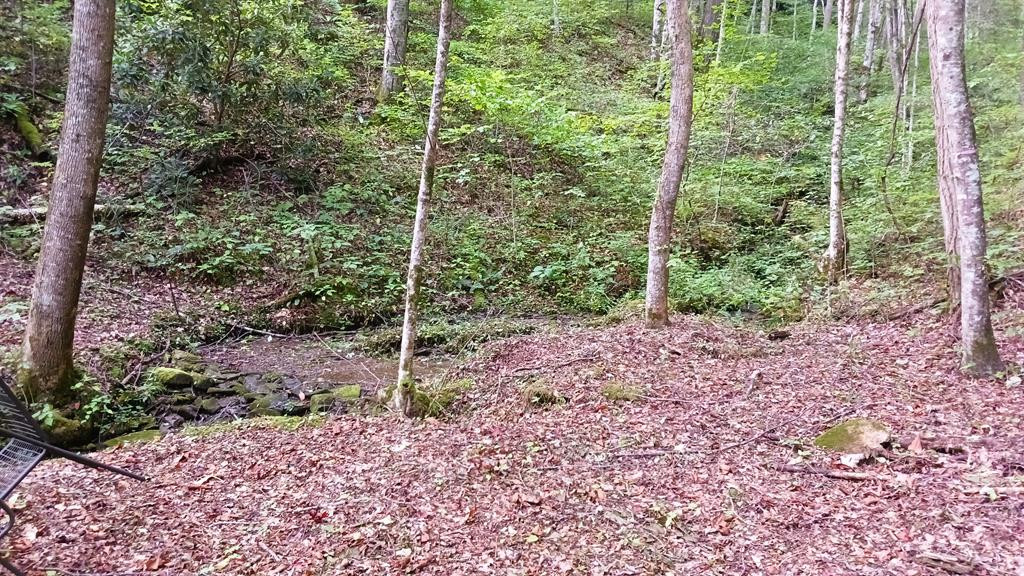 322 Locust Cove Road Robbinsville, NC 28771 - Photo 50 of 56 Gallery Image 50