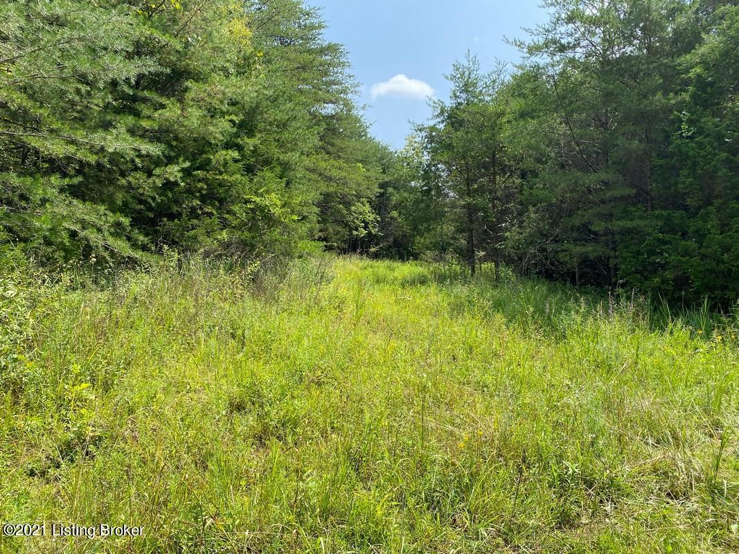 Lot 5-0 Wax Road Clarkson, KY 42726 - Photo 5 of 6 Logsdon Acres North Farm24