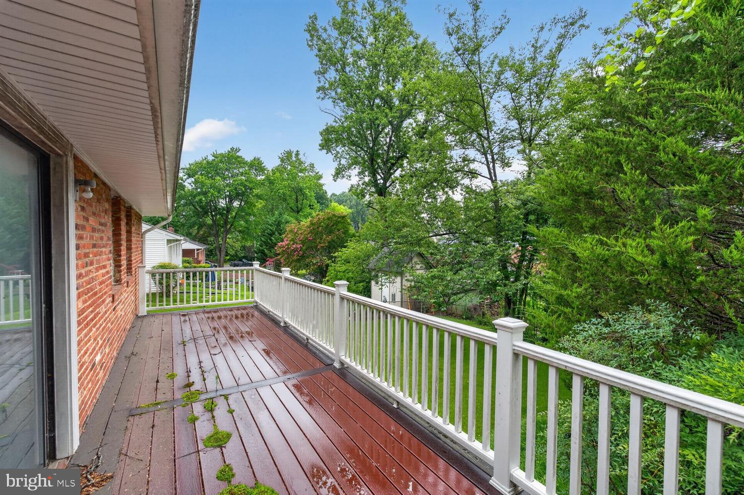 7532 Murillo Street Springfield, VA 22151 - Photo 13 of 15