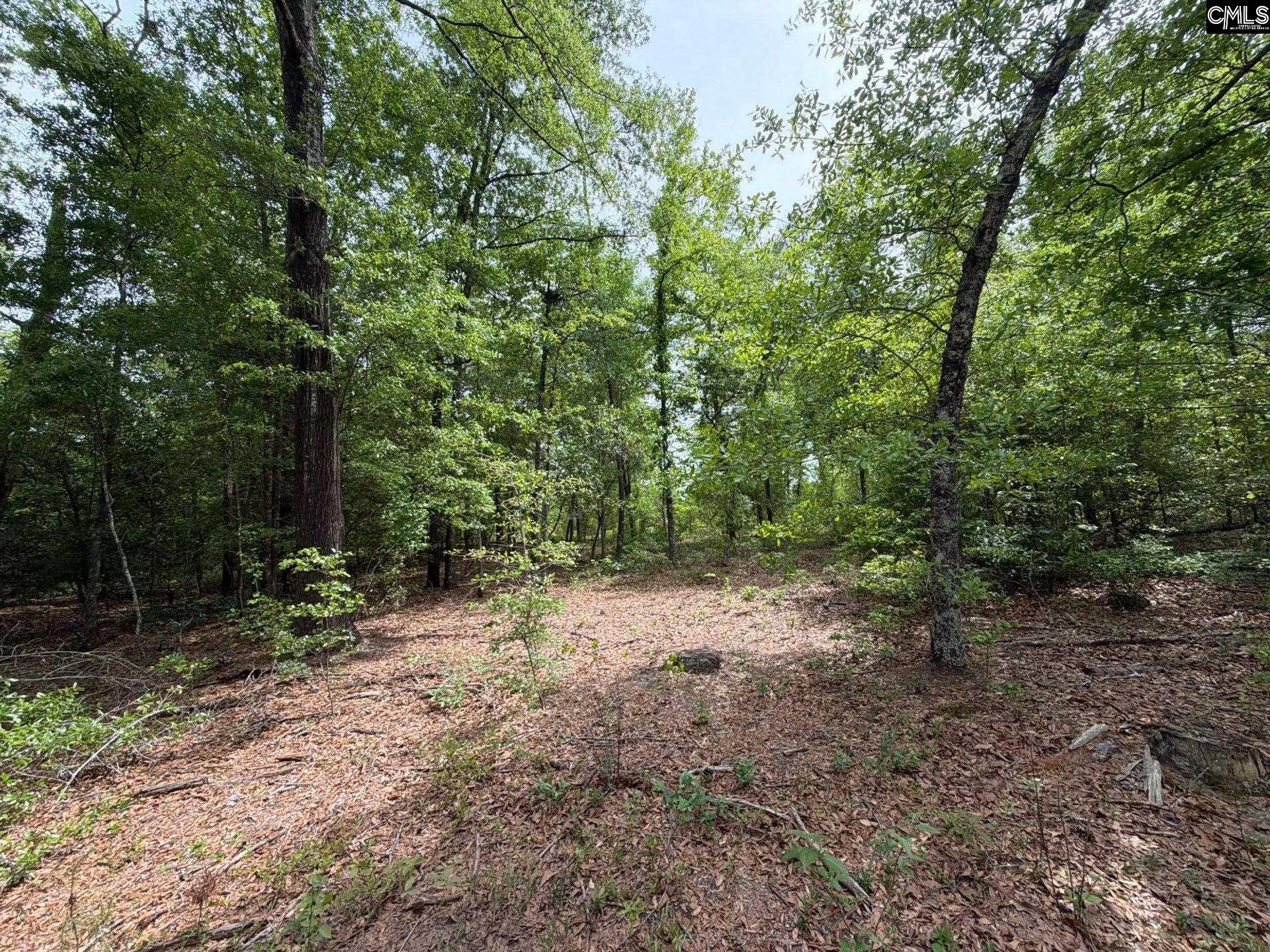 2 Rogers Cemetery Road Aiken, SC 29801 - Photo 22 of 26