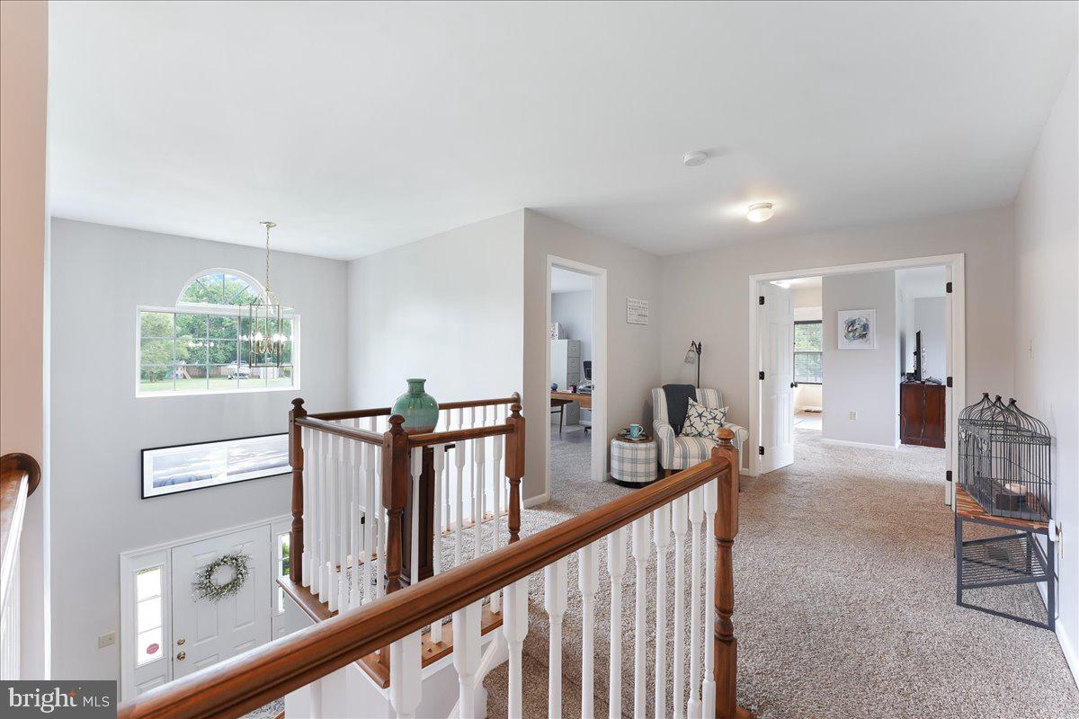 343 Canvasback Road Middletown, DE 19709 - Photo 25 of 38