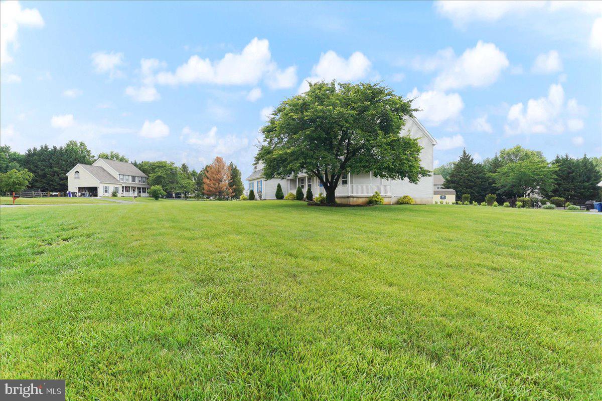 343 Canvasback Road Middletown, DE 19709 - Photo 38 of 38