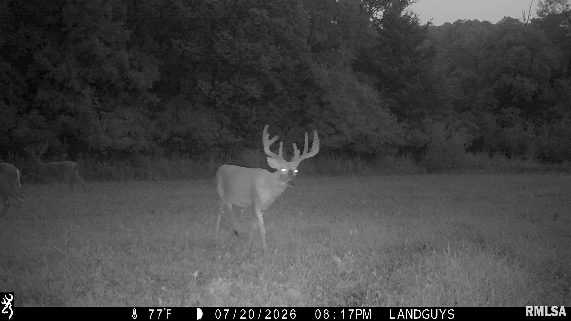 18881 East Hart Road Marietta, IL 61459 - Photo 57 of 62 Gallery Image 57