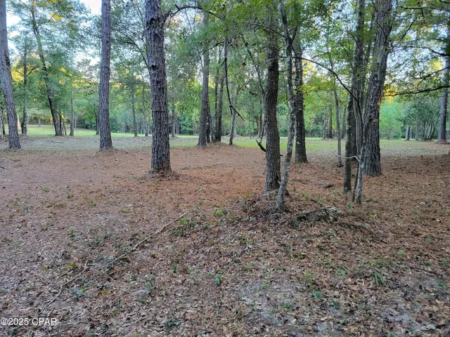 $375,000 | 0 Hardwood Lane, Ponce de Leon, FL 32455