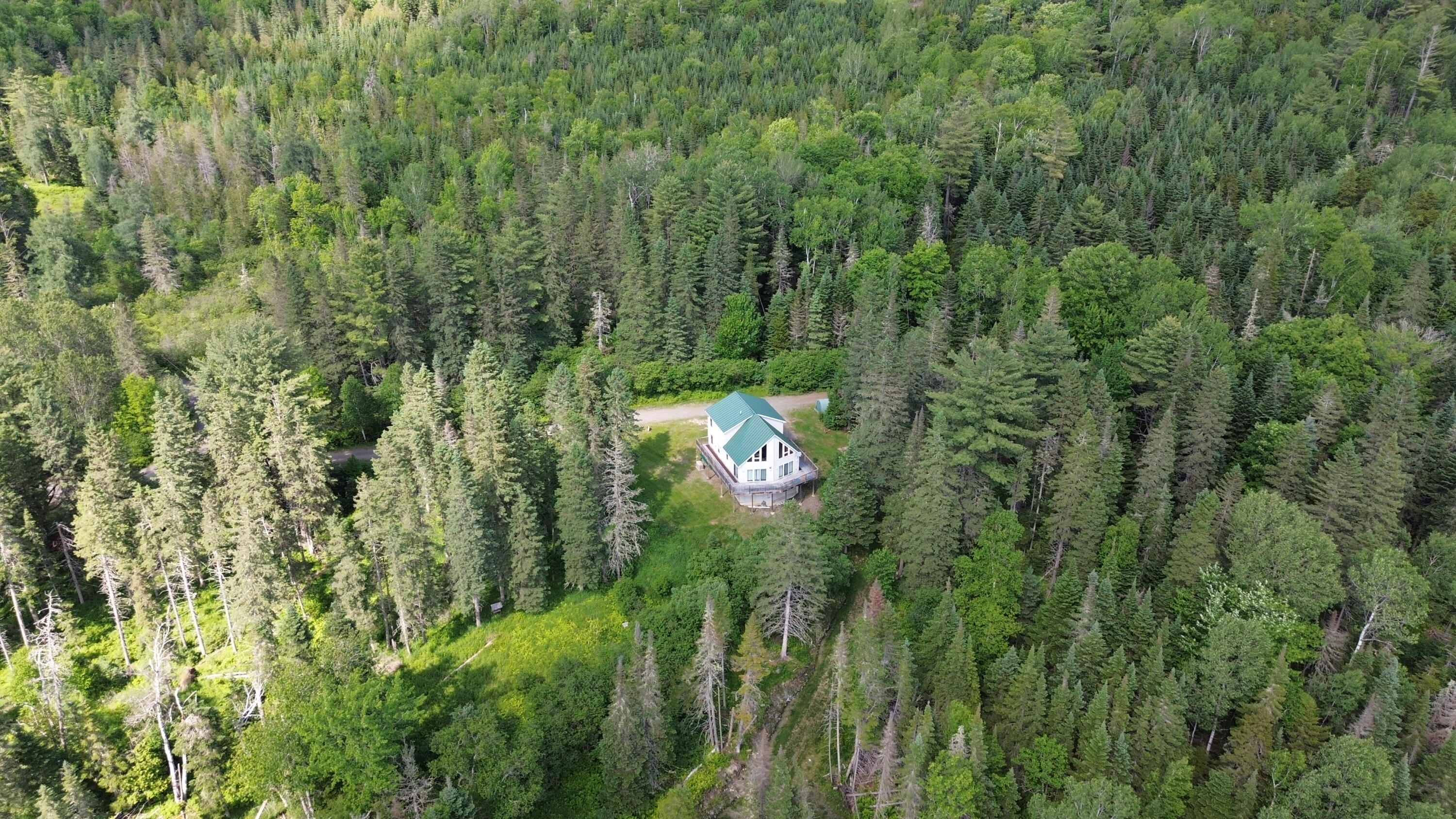 49 Field Way Rangeley, ME 04970 - Photo 65 of 70 DJI_0237