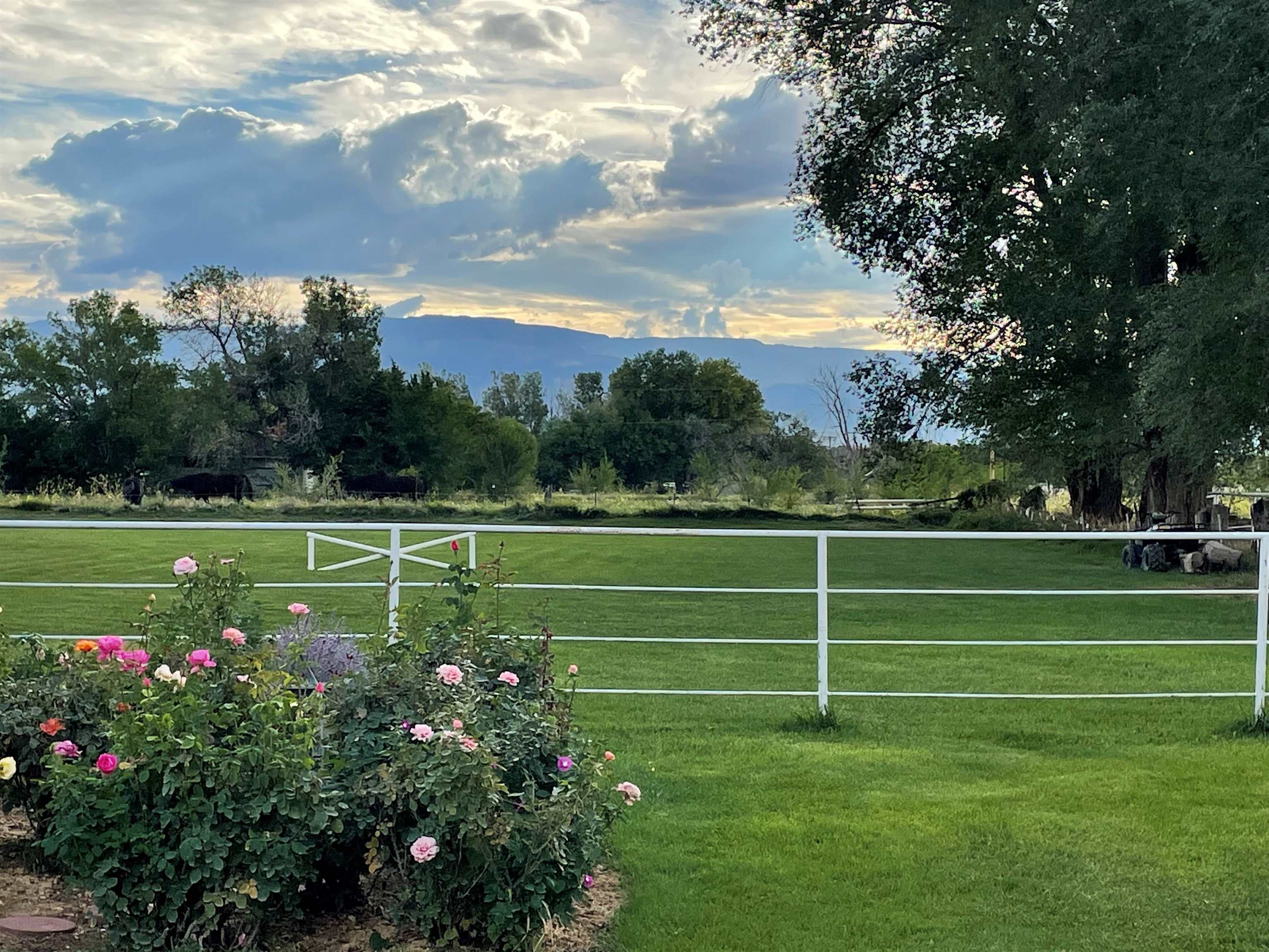 2952 B B 1/2 Road Grand Junction, CO 81503 - Photo 14 of 39 Gallery Image 14