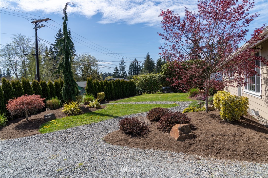 407 216th Street Southwest Bothell, WA 98021 - Photo 2 of 18 a view of a park with plants and a bench