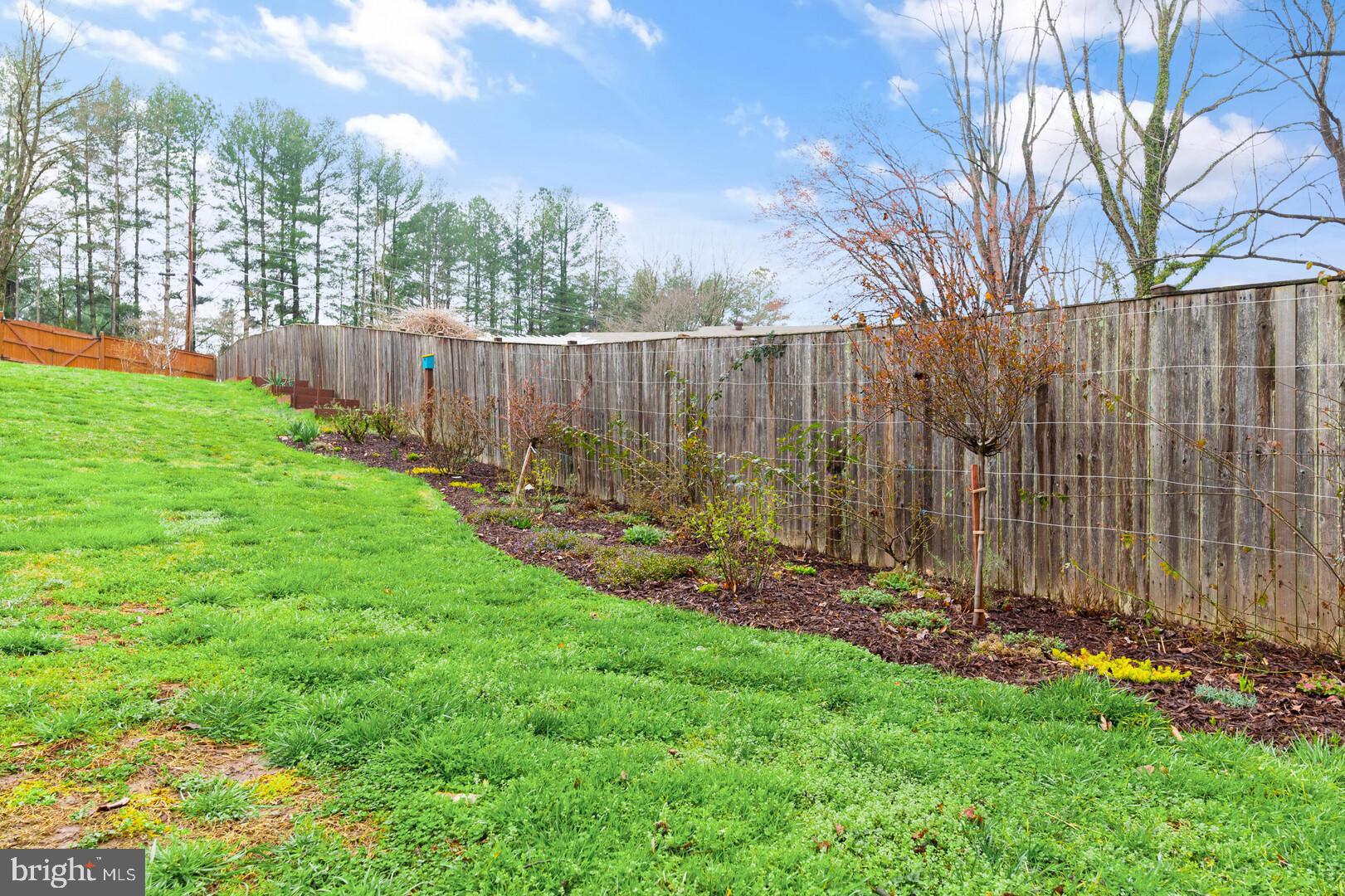 7475 Clifton Road Clifton, VA 20124 - Photo 53 of 69 Gorgeous Landscaping