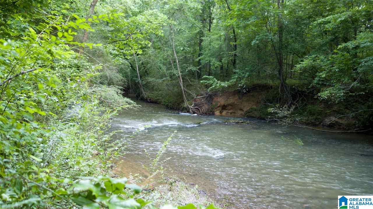 180 Gibson Road, Unit 76 / ACRES OFF GIBSON R Columbiana, AL 35051 - Photo 19 of 50