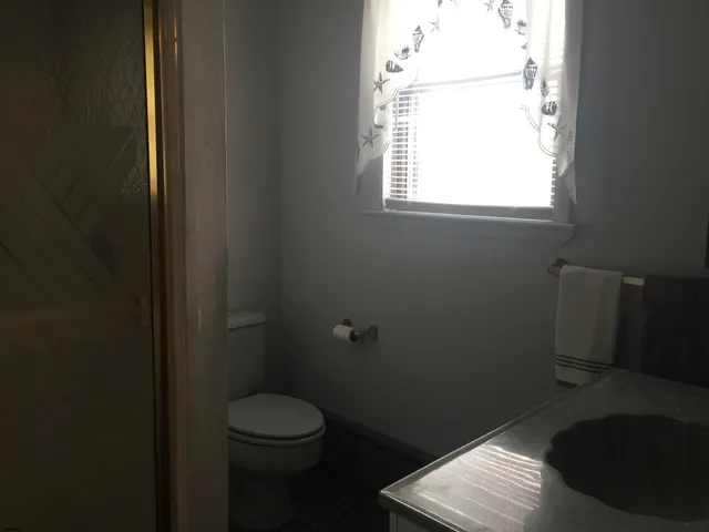 a bathroom with a toilet a sink and a window