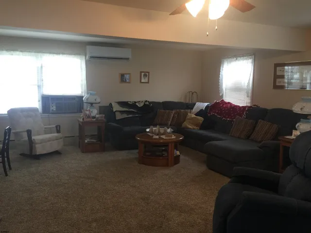 a living room with furniture and a potted plant