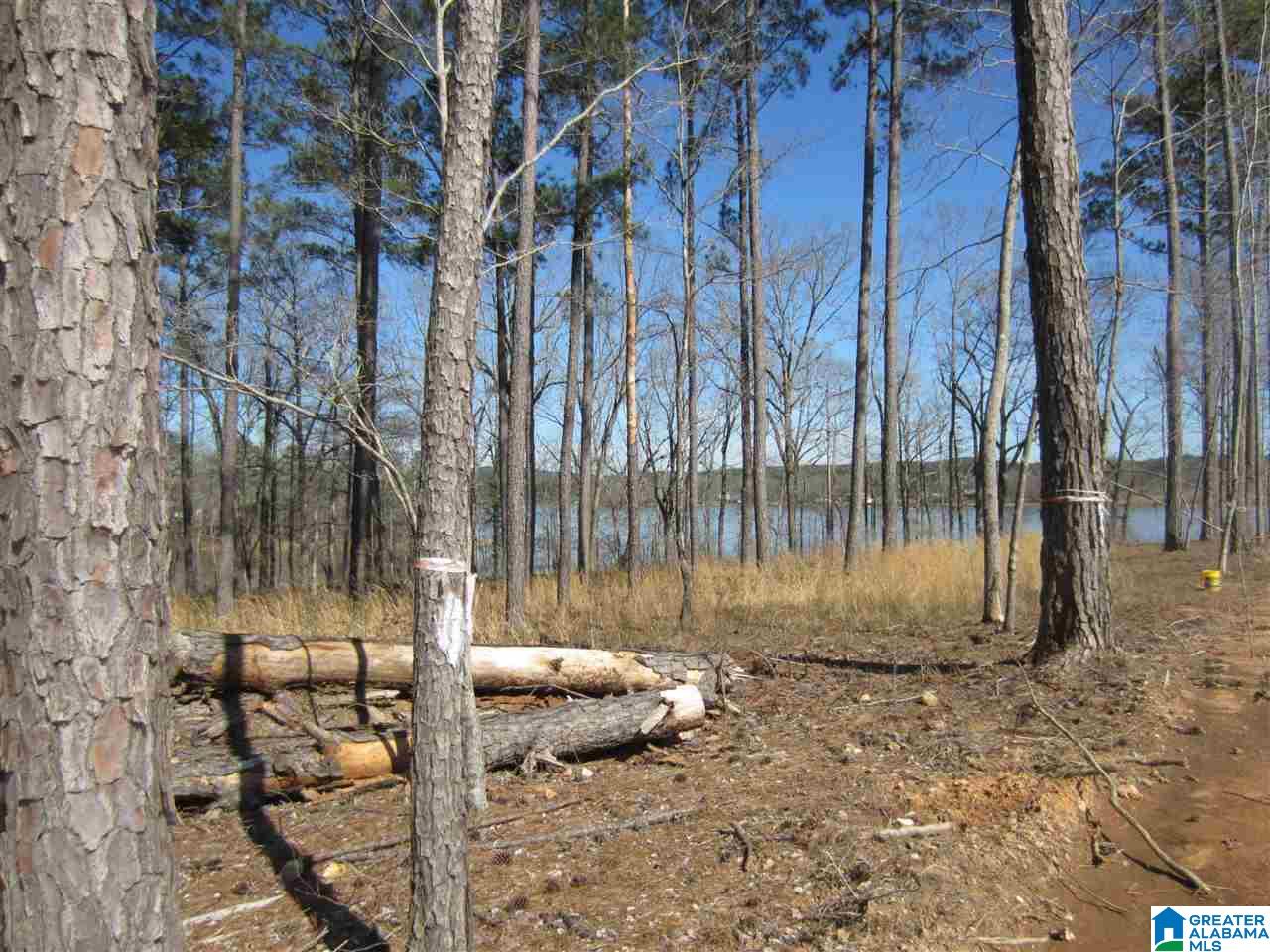 0 Timber Trail, Unit 28 Sylacauga, AL 35151 - Photo 3 of 22
