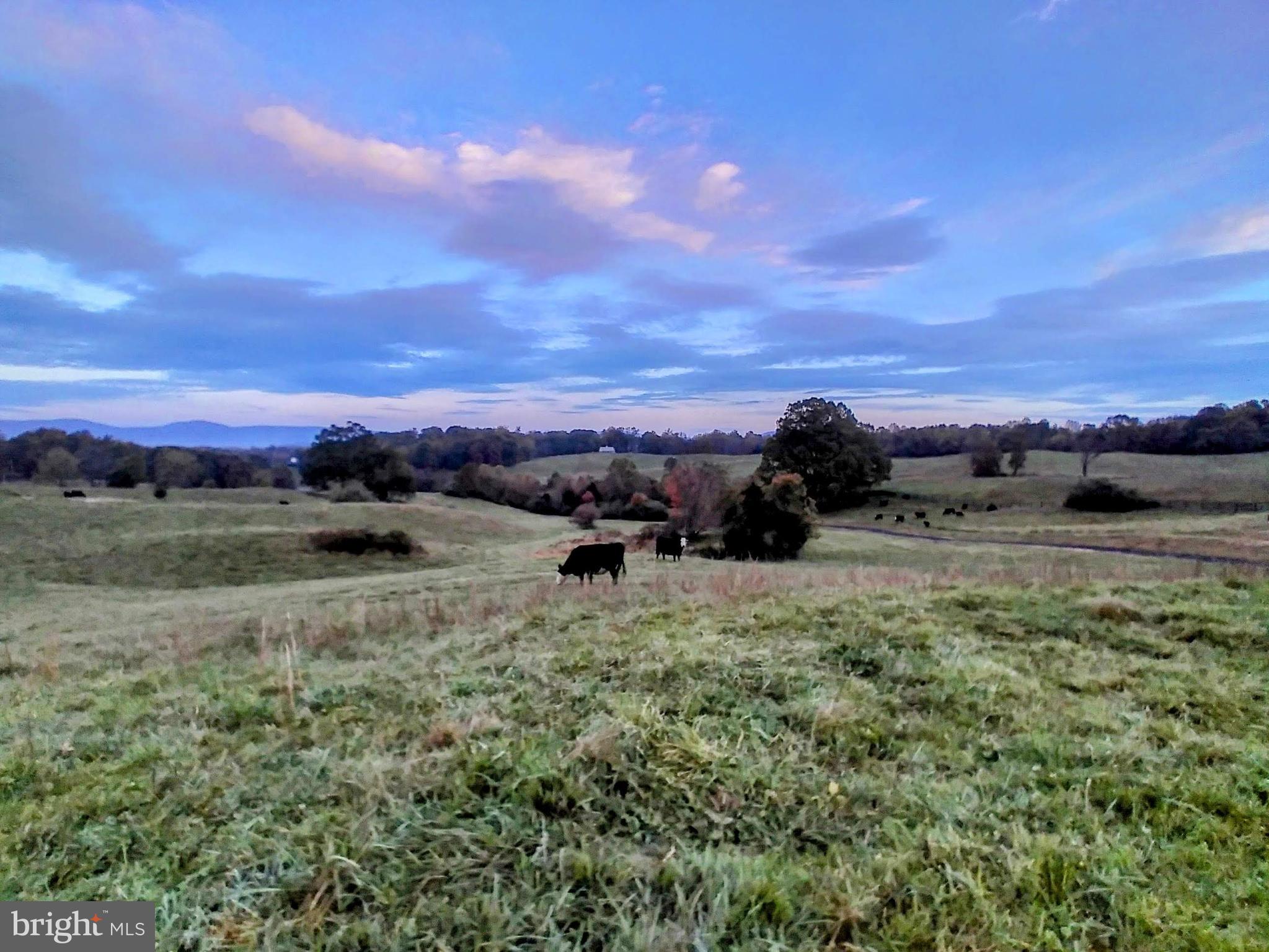 12250 Crest Hill Road Hume, VA 22639 - Photo 15 of 37