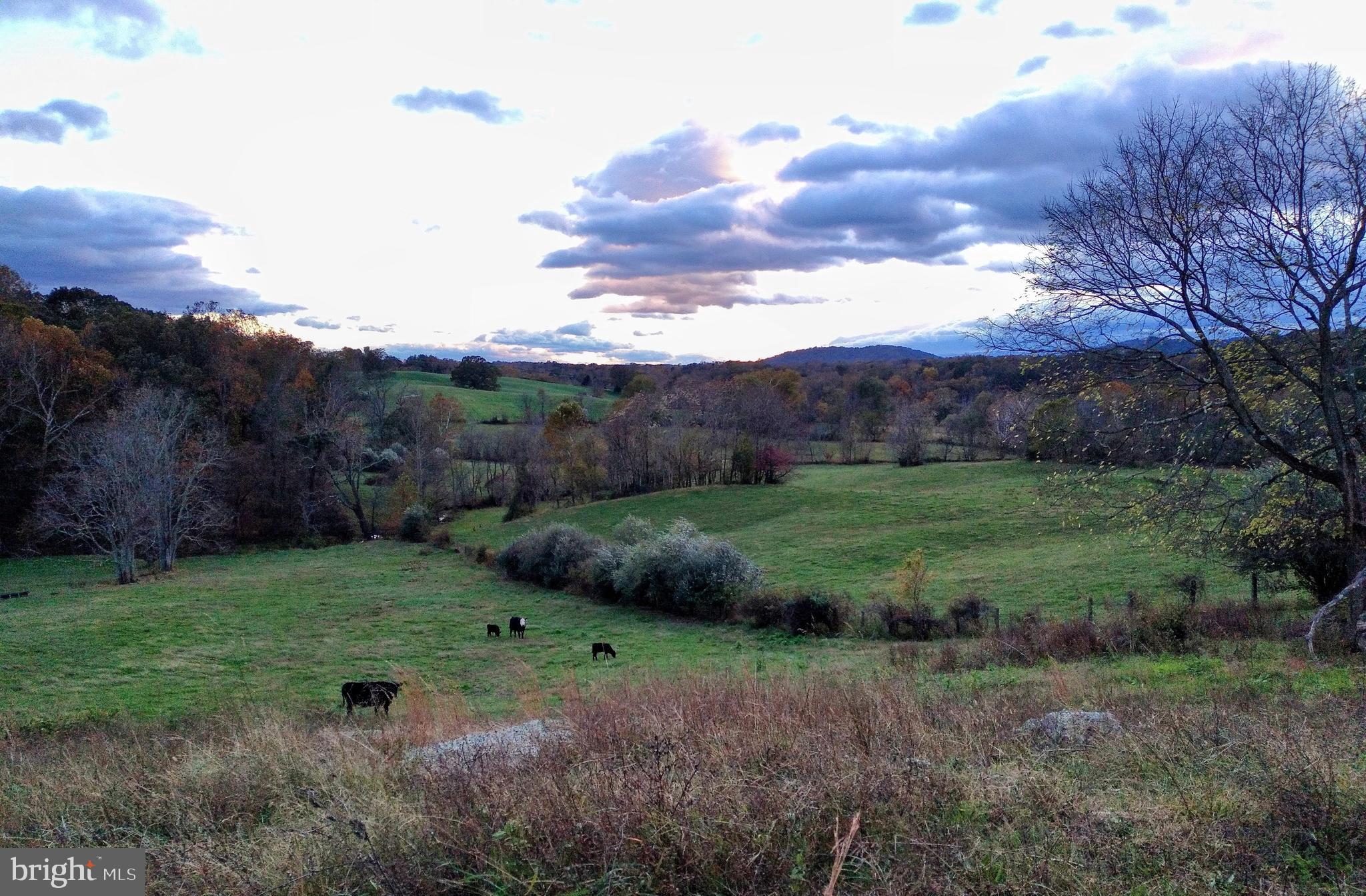 12250 Crest Hill Road Hume, VA 22639 - Photo 17 of 37