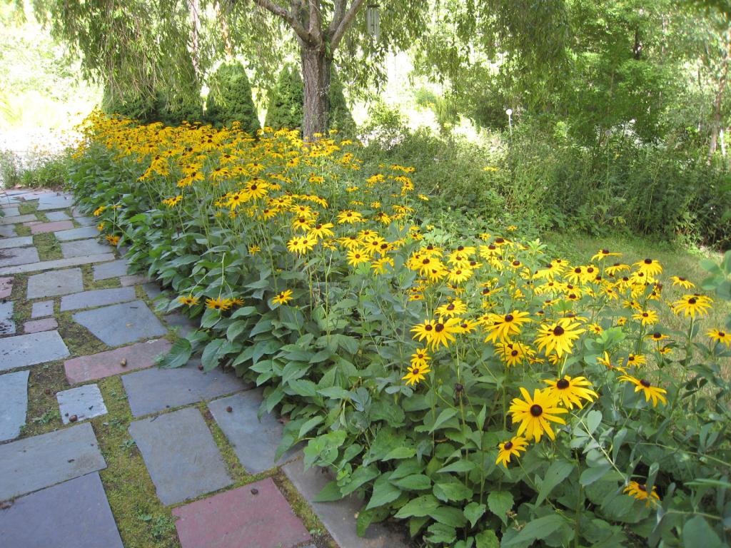 10 Old Farm Road Kittery, ME 03904 - Photo 33 of 36 Gallery Image 33