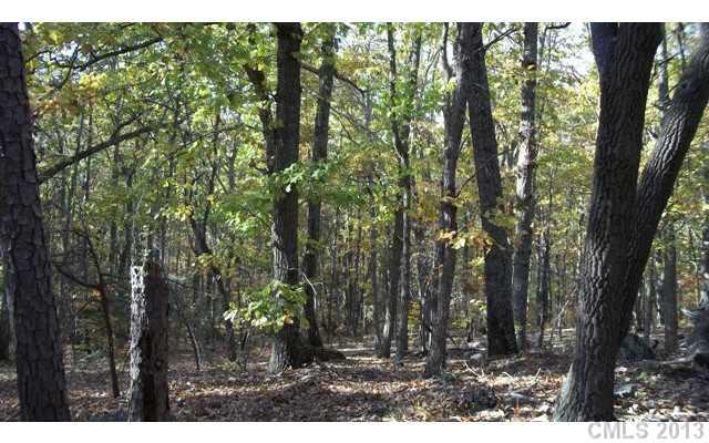 Lot 11 Little Mountain Road, Unit 11 Clover, SC 29710 - Photo 1 of 14 Gallery Image 1