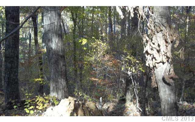 Lot 11 Little Mountain Road, Unit 11 Clover, SC 29710 - Photo 14 of 14 Gallery Image 14
