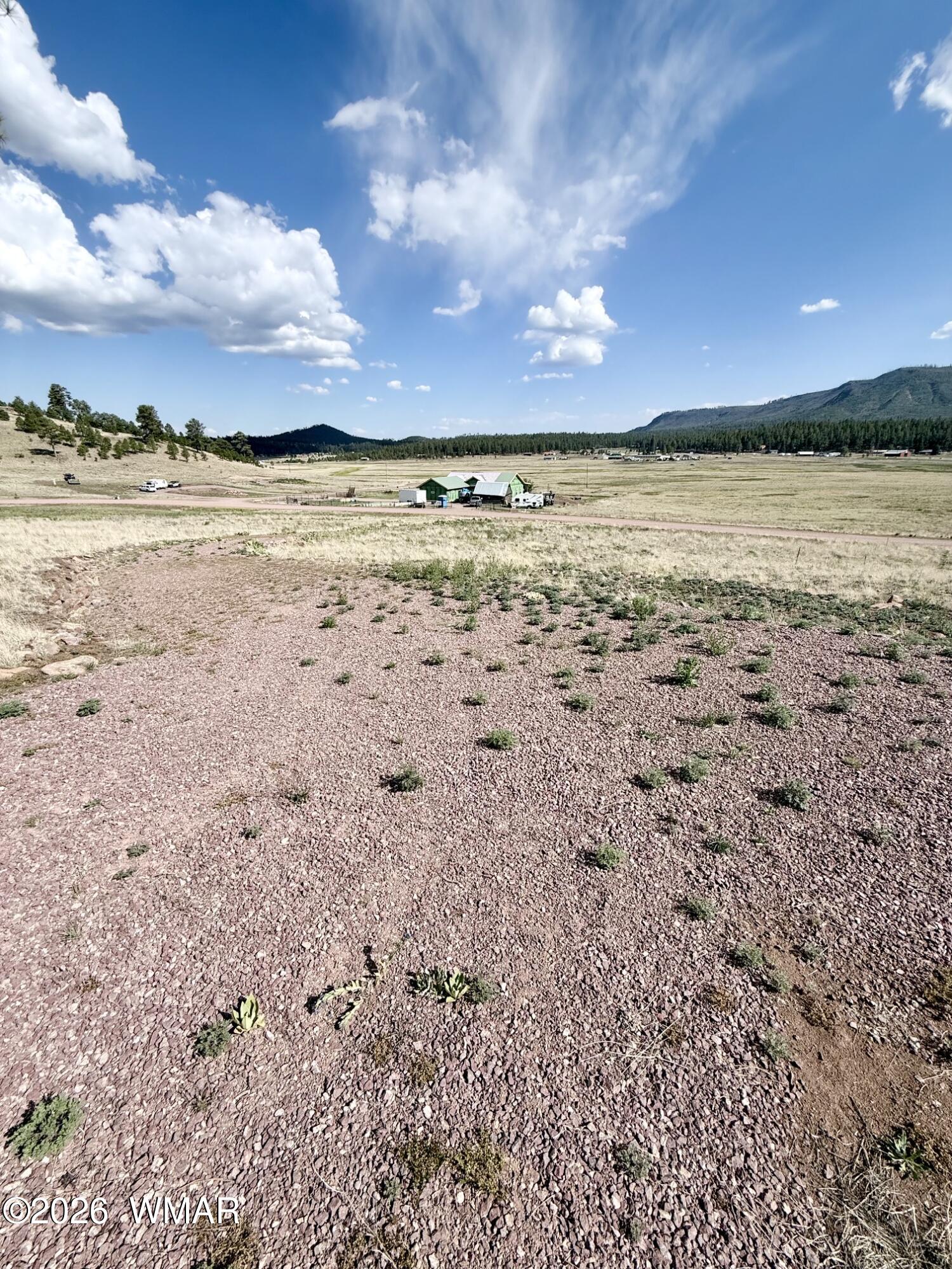 32 The Ranch Alpine, AZ 85920 - Photo 8 of 11