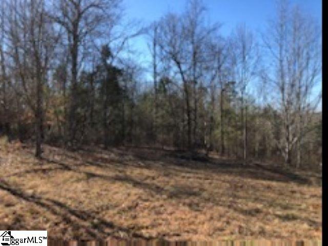 507 New Harrison Bridge Road Simpsonville, SC 29680 - Photo 2 of 14