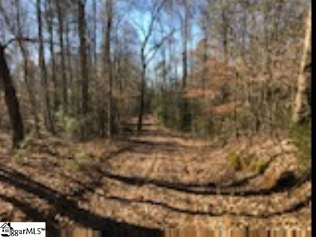 507 New Harrison Bridge Road Simpsonville, SC 29680 - Photo 11 of 14
