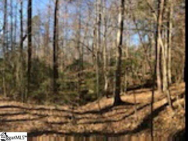 507 New Harrison Bridge Road Simpsonville, SC 29680 - Photo 12 of 14