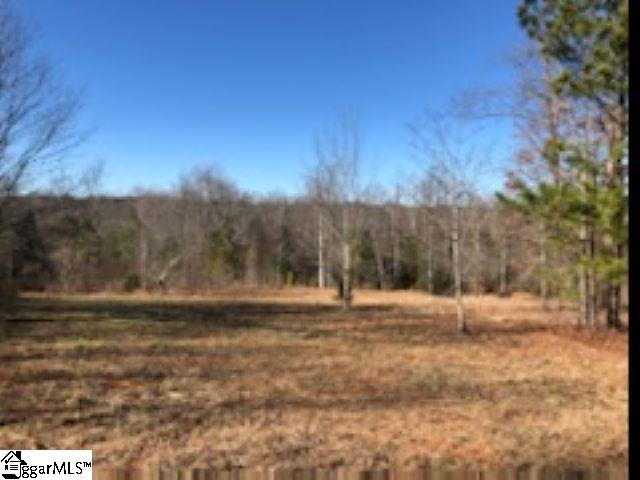 507 New Harrison Bridge Road Simpsonville, SC 29680 - Photo 3 of 14