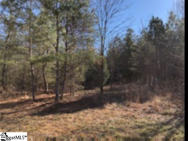 507 New Harrison Bridge Road Simpsonville, SC 29680 - Photo 5 of 14