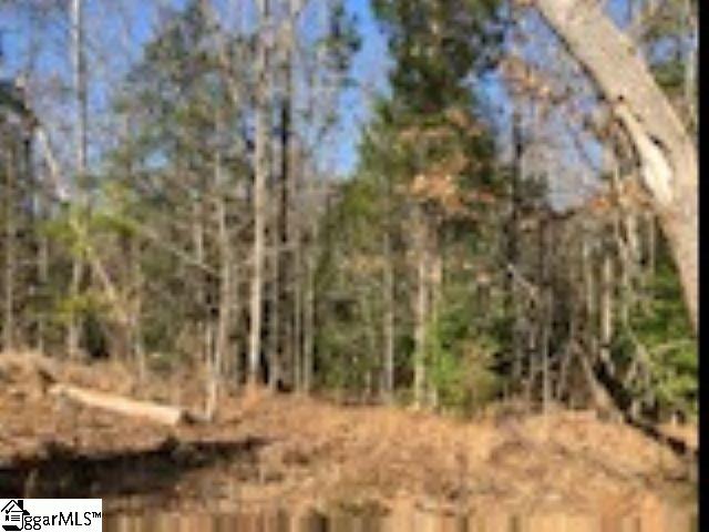 507 New Harrison Bridge Road Simpsonville, SC 29680 - Photo 6 of 14