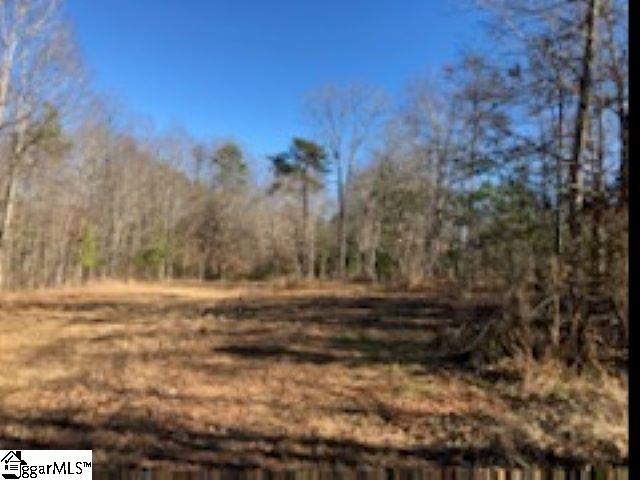 507 New Harrison Bridge Road Simpsonville, SC 29680 - Photo 7 of 14