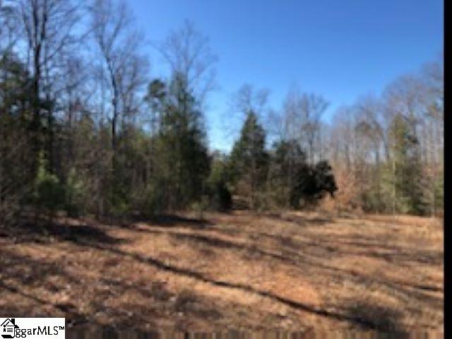 507 New Harrison Bridge Road Simpsonville, SC 29680 - Photo 8 of 14