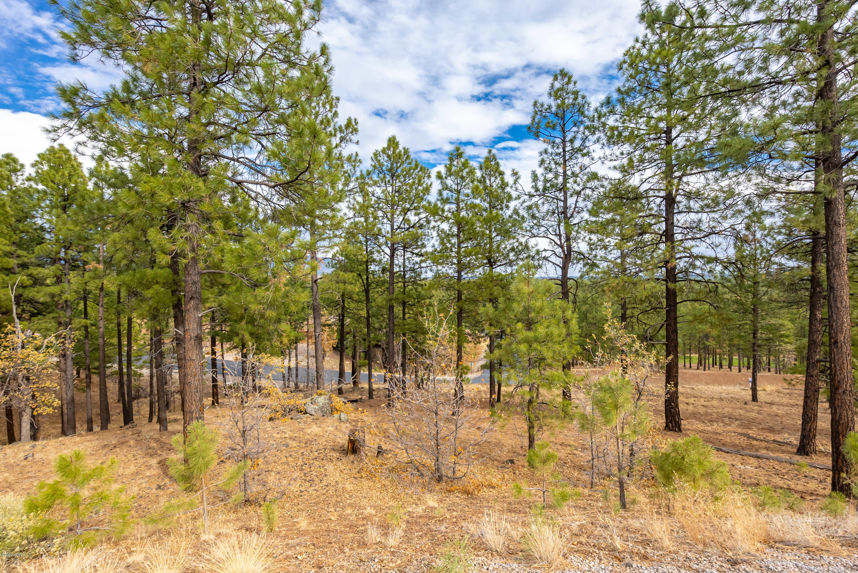 4580 South Flagstaff Ranch Road Flagstaff, AZ 86005 - Photo 23 of 23 CP-23