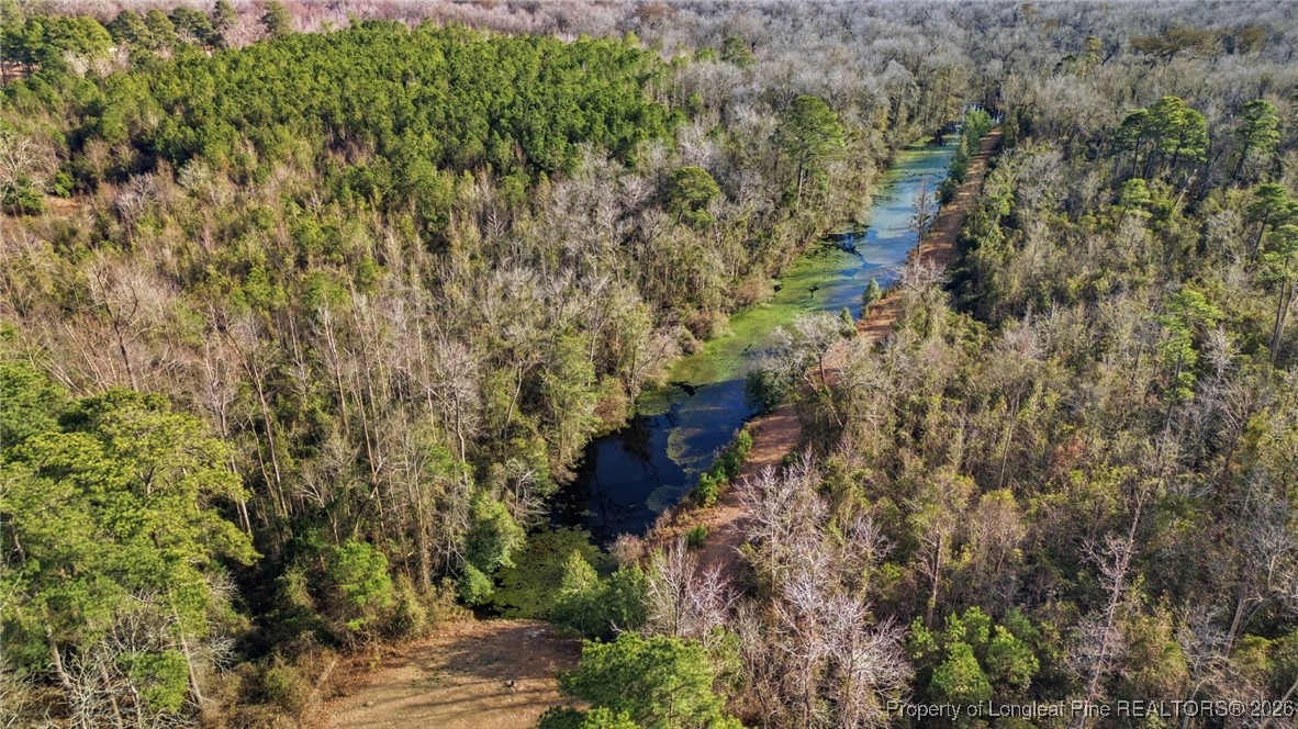 10765 Barker 10 Mile Road St. Pauls, NC 28384 - Photo 45 of 48 a view of a forest with a tree