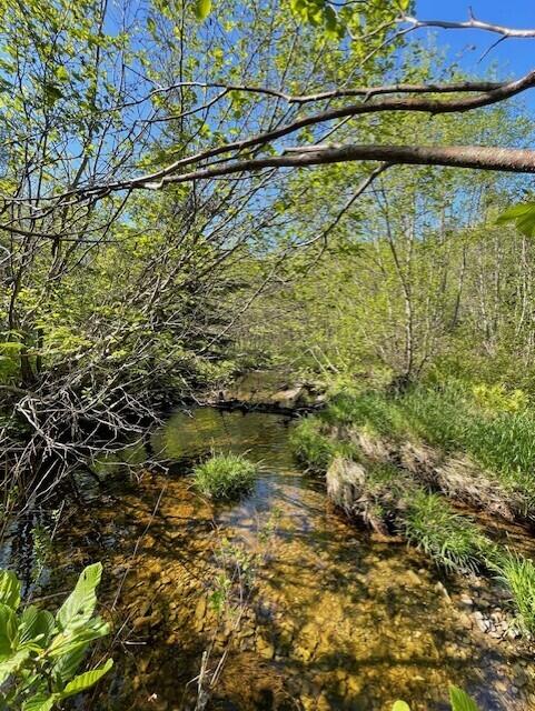 339 Long Pond Road Jackman, ME 04945 - Photo 14 of 30