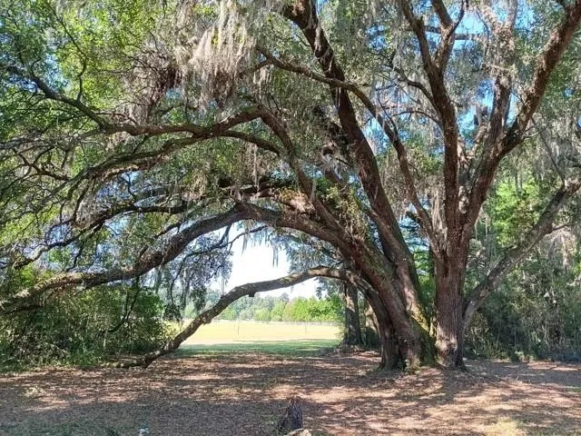 $399,000 | 50 Belle Forbes Lane, Crawfordville, FL 32327