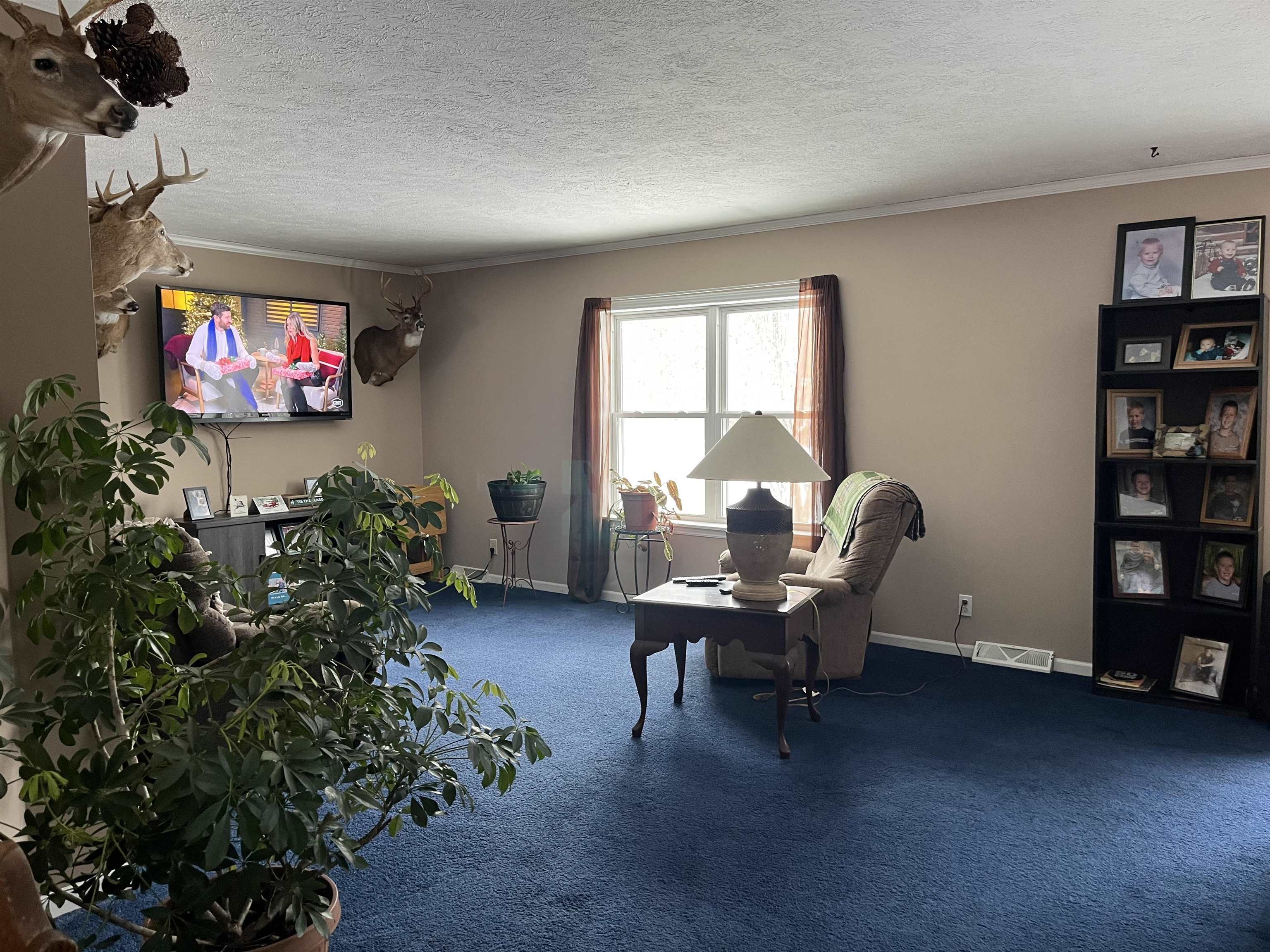 6688 South Gilmore Road Mount Pleasant, MI 48858 - Photo 6 of 12 Gallery Image 6