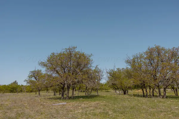 $671,181 | Pavolosky Place, Shamrock, TX 79079