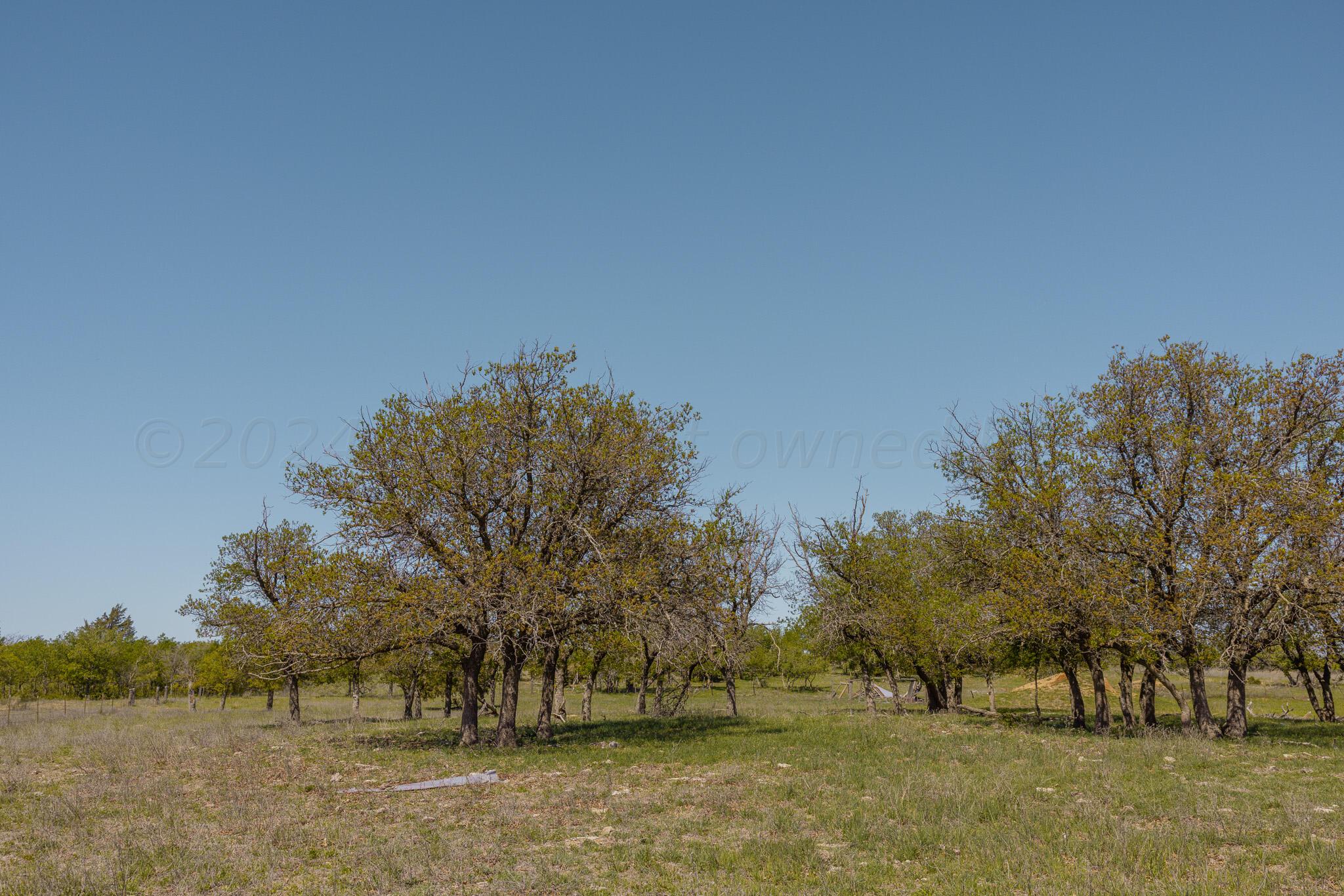 Pavolosky Place Shamrock, TX 79079 - Photo 20 of 46 3J8A2543