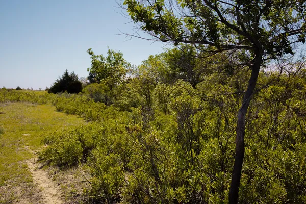 $671,181 | Pavolosky Place, Shamrock, TX 79079