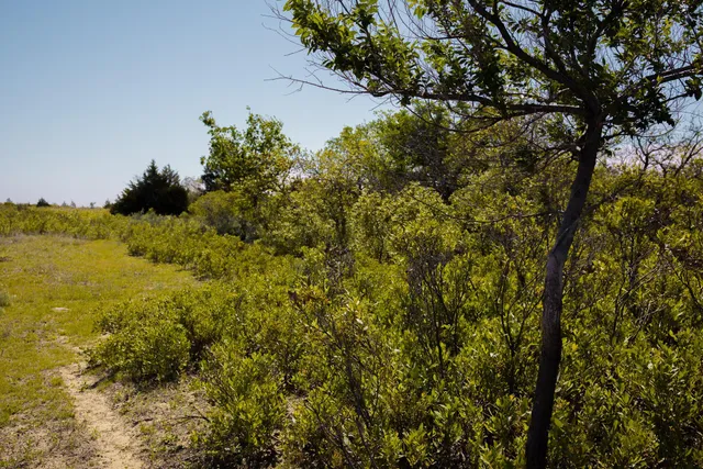 $671,181 | Pavolosky Place, Shamrock, TX 79079