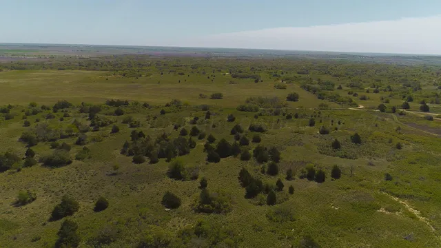 $671,181 | Pavolosky Place, Shamrock, TX 79079