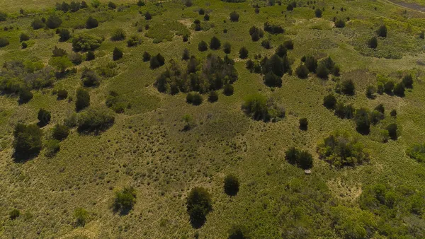 $671,181 | Pavolosky Place, Shamrock, TX 79079