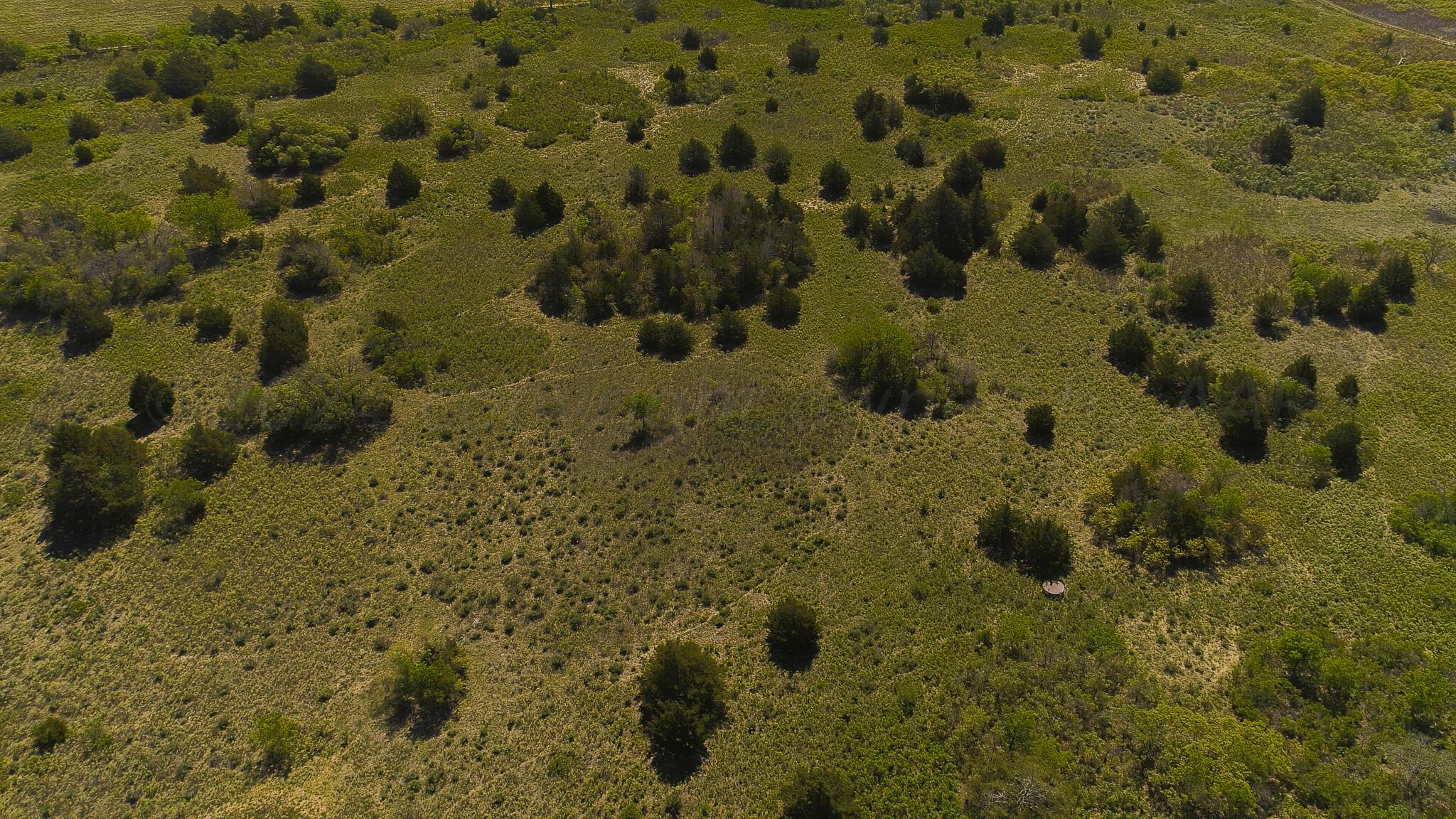 Pavolosky Place Shamrock, TX 79079 - Photo 40 of 46 DJI_0325